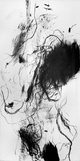 Novum ens R V | coal on paper | 300×150 cm | 2015